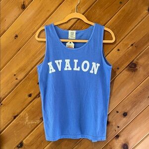 “Avalon” NJ comfort colors blue & white tank top NWT